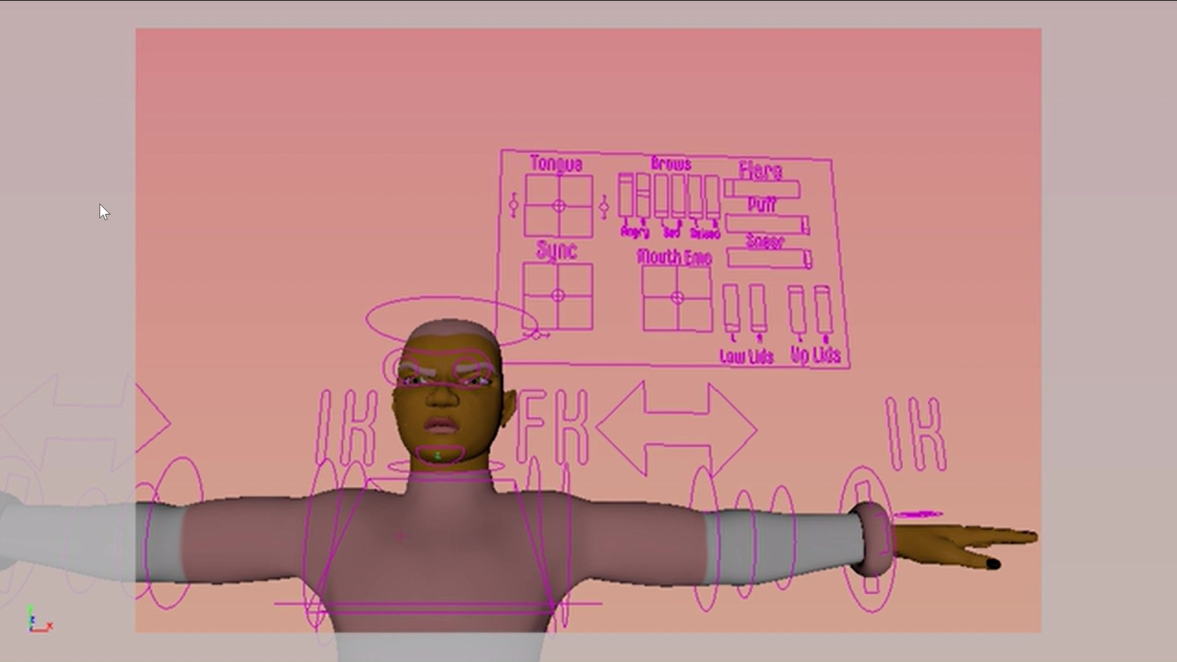 Facial Rig Play
